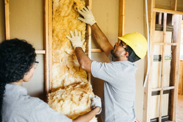 Professional Insulation Contractor in Allison, IA